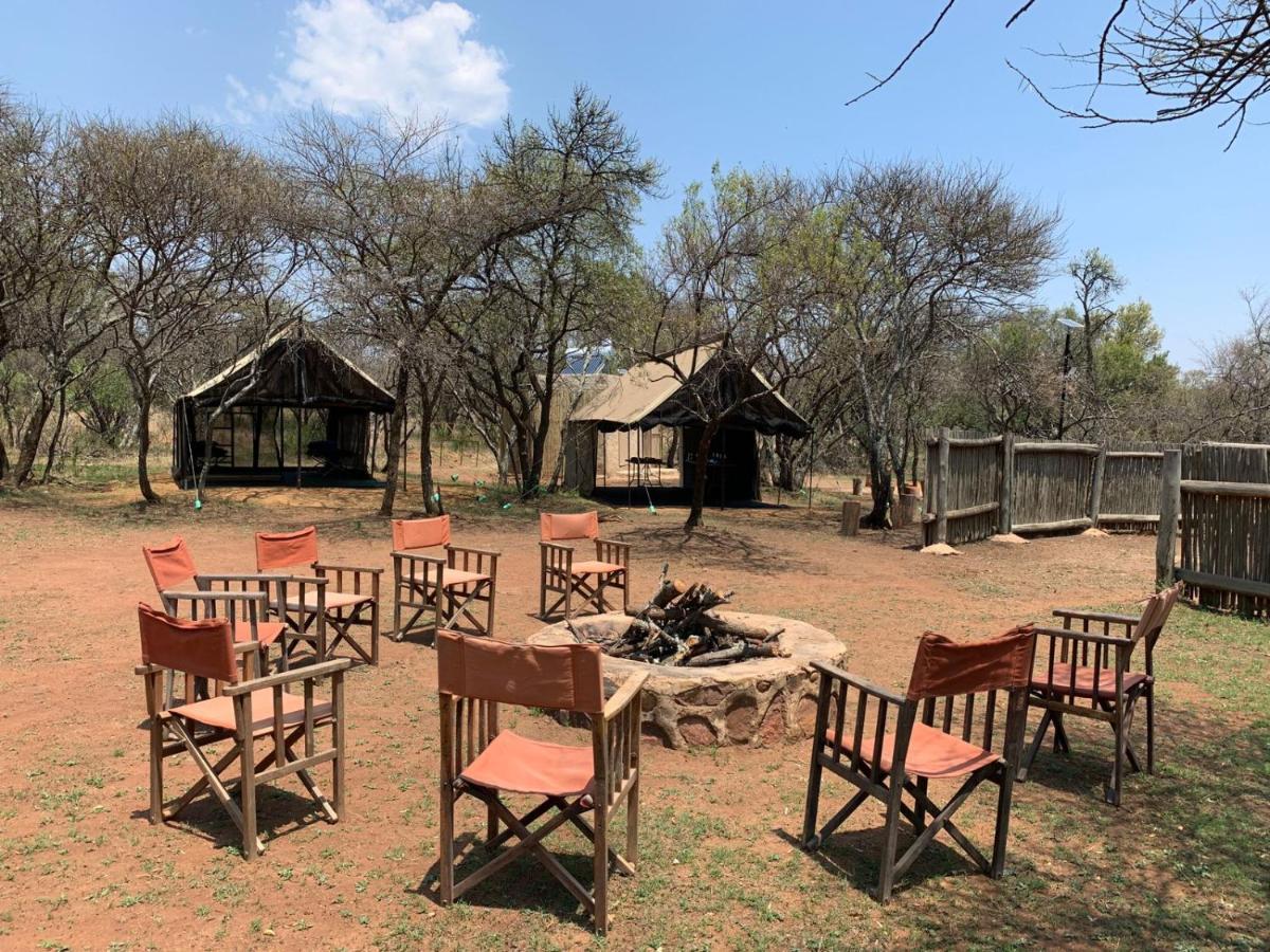 Zebra Nature Reserve Cullinan Dış mekan fotoğraf